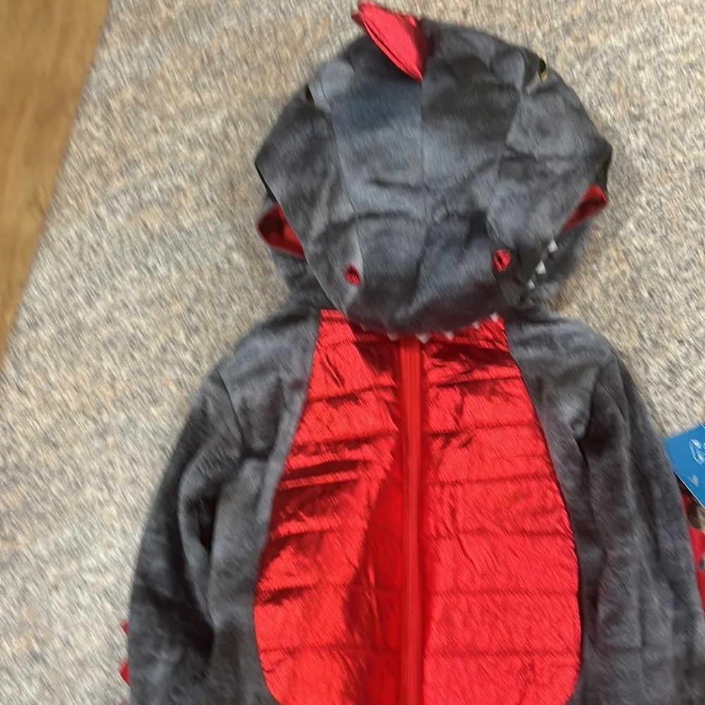 Ministry of Rascal dragon costume size 2T